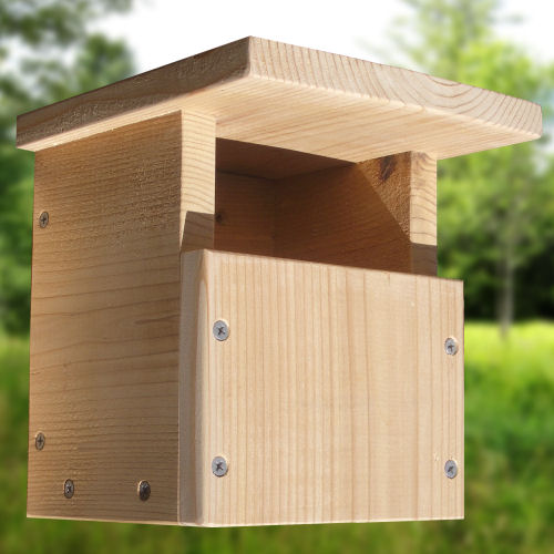 How can you get plans to build a wren house?