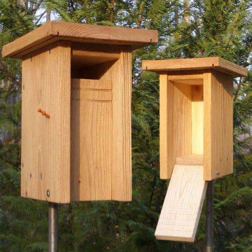 sparrow-resistant-bluebird-house-slot-entrance-cardboardcoathangers