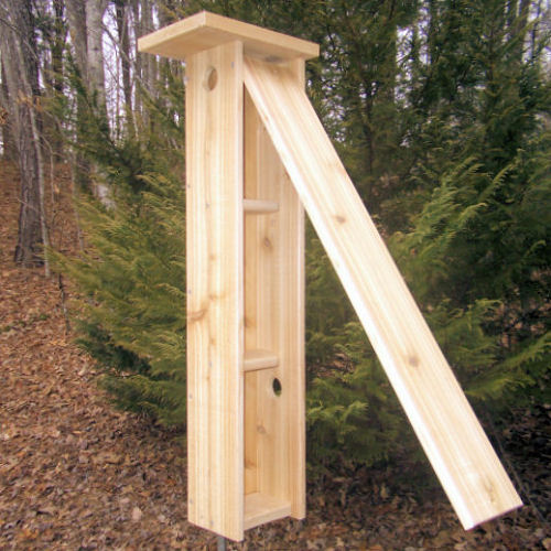 nestbox-plans-for-bluebirds