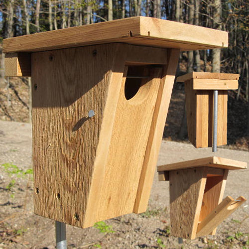 bluebird nest box plans