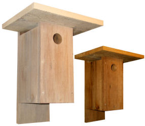 Painting nestbox a light color